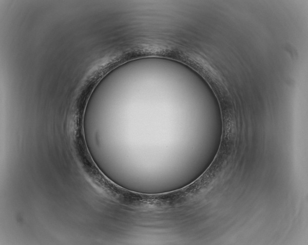 X0000110740736200906151103