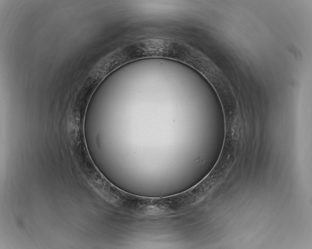 X0000110740737200906151103