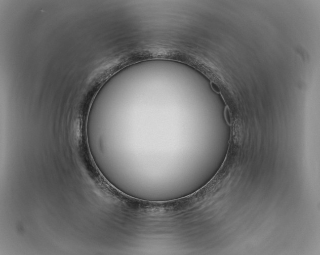 X0000110740740200906151103