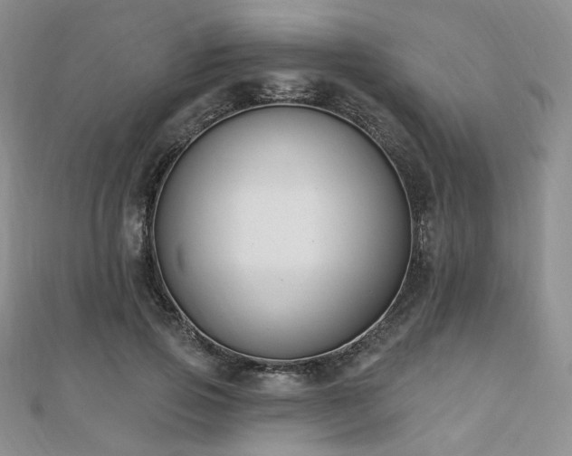 X0000110740741200906151103