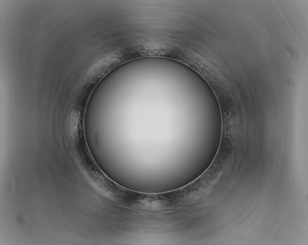 X0000110740742200906151103