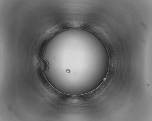 X0000110740743200906151103