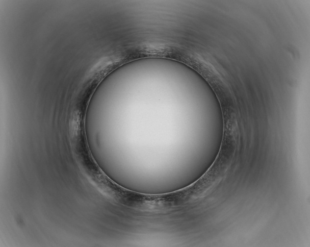 X0000110740744200906151103