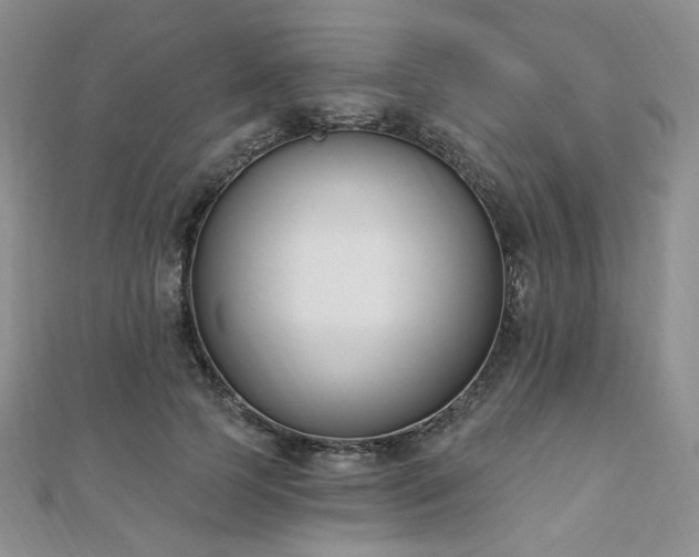 X0000110740745200906151103