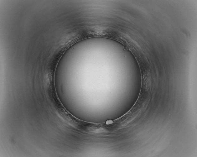 X0000110740747200906151103