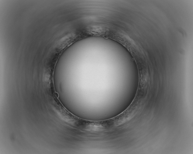 X0000110740749200906151103
