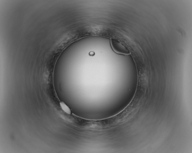 X0000110740750200906151103