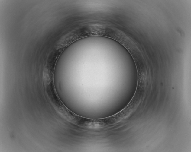 X0000110740751200906151103