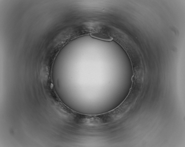 X0000110740752200906151103