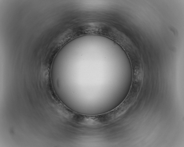 X0000110740753200906151103
