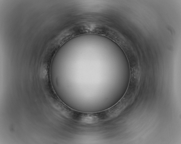 X0000110740754200906151103