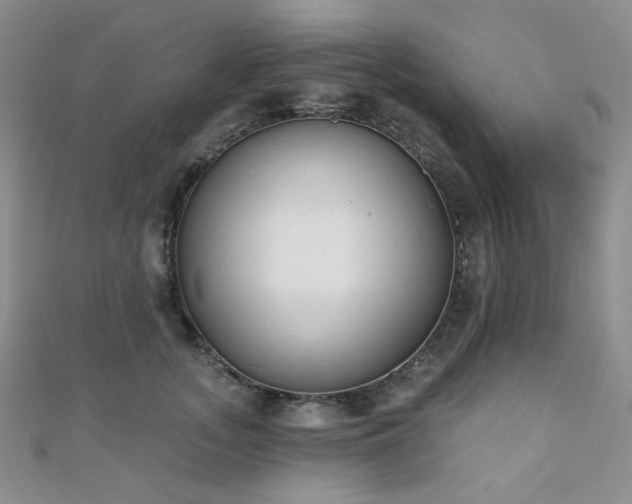 X0000110740755200906151103