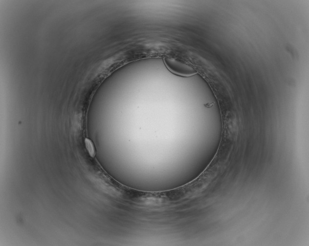 X0000110740756200906151103
