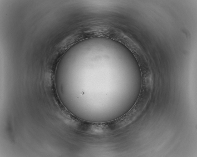 X0000110740757200906151103
