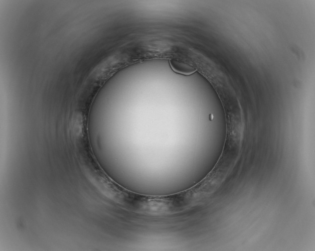 X0000110740758200906151103