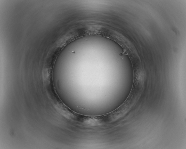 X0000110740759200906151103
