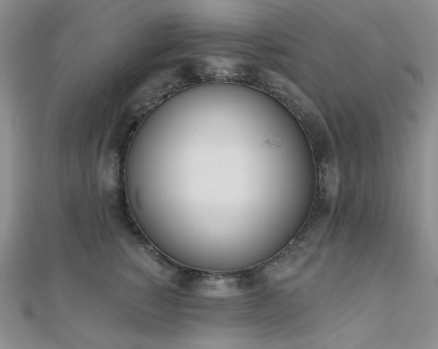 X0000110740760200906151103