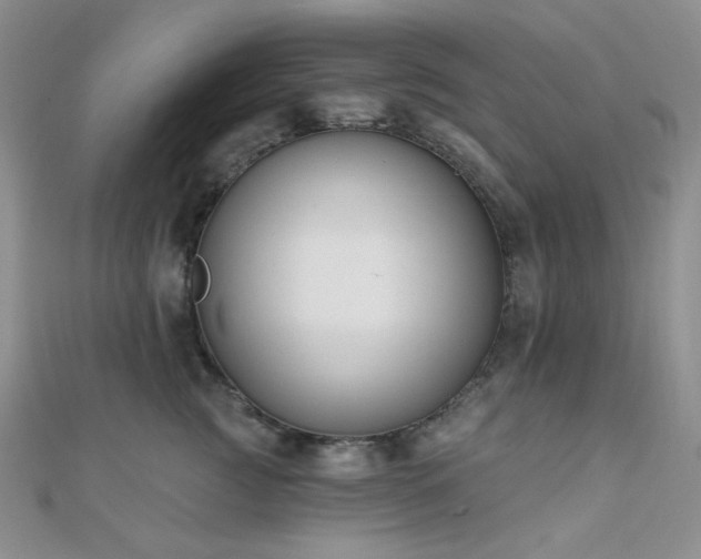 X0000110740761200906151103
