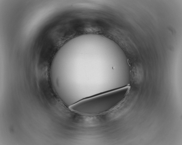 X0000110740762200906151103