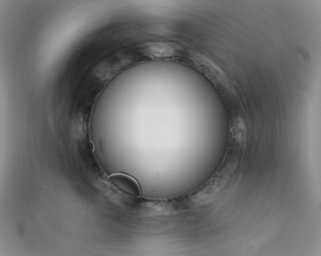 X0000110740763200906151103