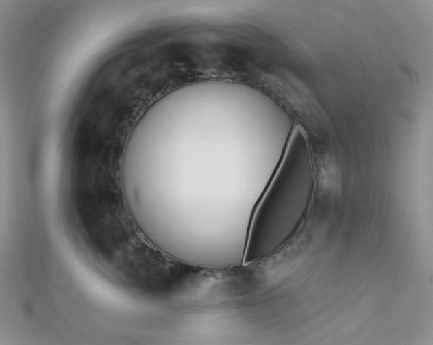 X0000110740764200906151103