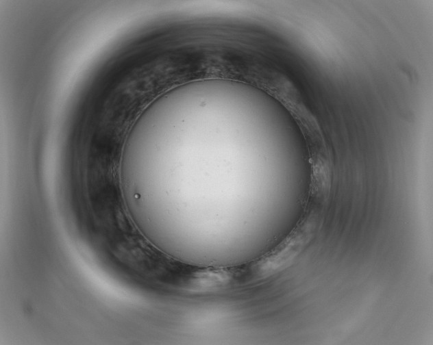 X0000110740765200906151103
