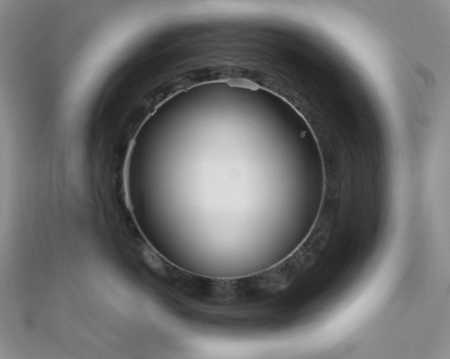 X0000110740766200906151103