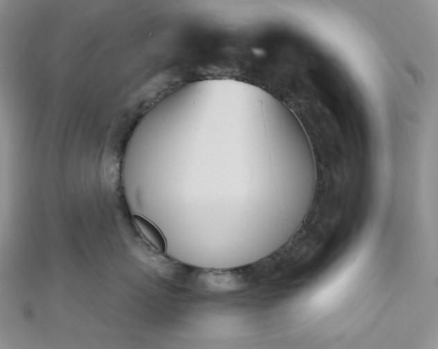 X0000110740767200906151103
