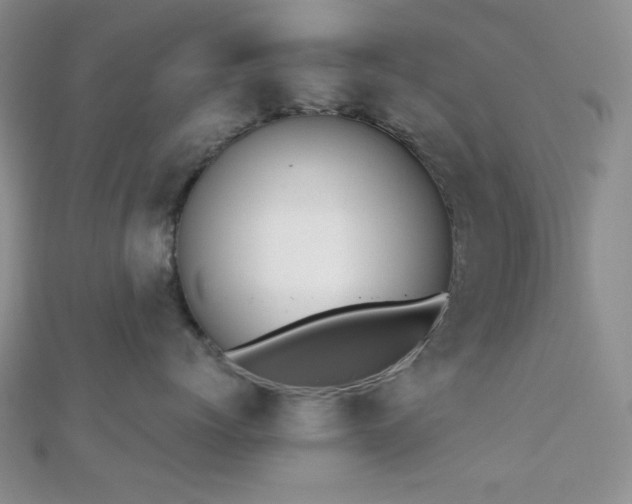 X0000110740768200906151103