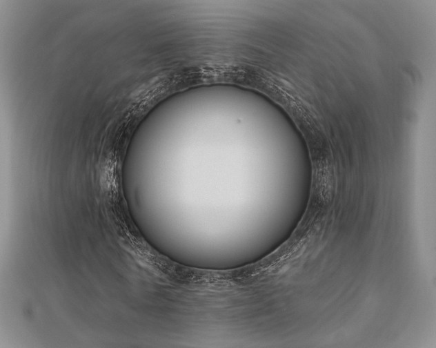 X0000110740770200906151103