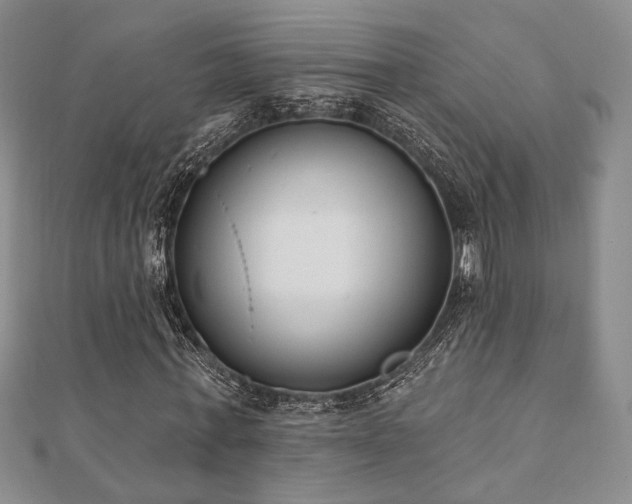 X0000110740771200906151103