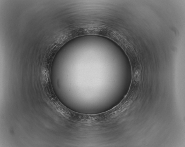 X0000110740772200906151103