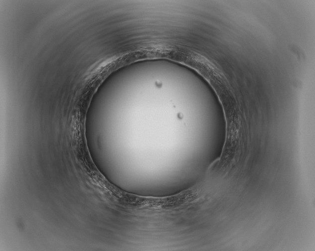 X0000110740773200906151103