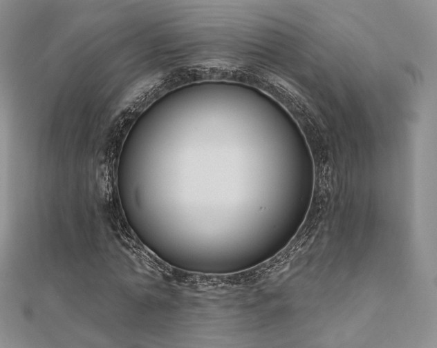 X0000110740774200906151103