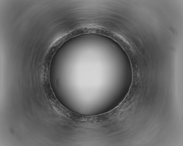 X0000110740775200906151103