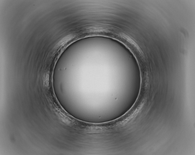 X0000110740777200906151103