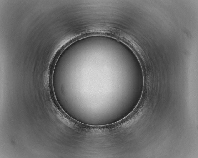 X0000110740779200906151103