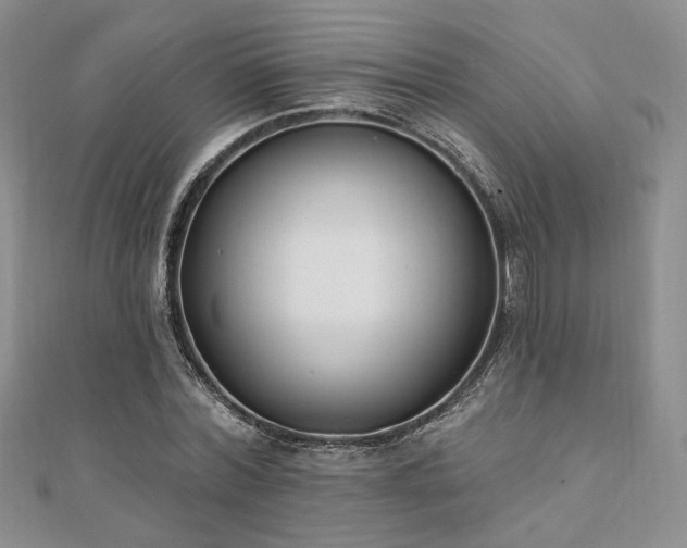 X0000110740780200906151103