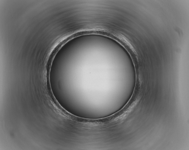X0000110740781200906151103