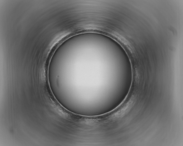 X0000110740782200906151103