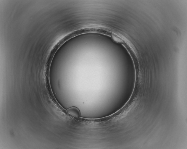 X0000110740783200906151102