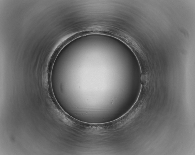 X0000110740784200906151102