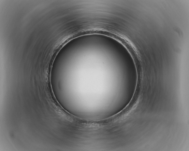 X0000110740785200906151102