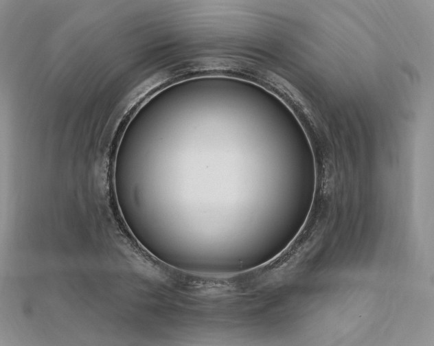 X0000110740786200906151102