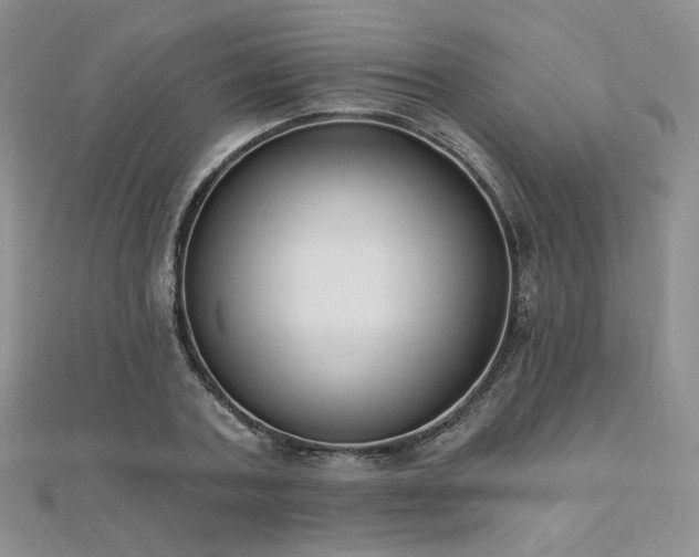 X0000110740787200906151102