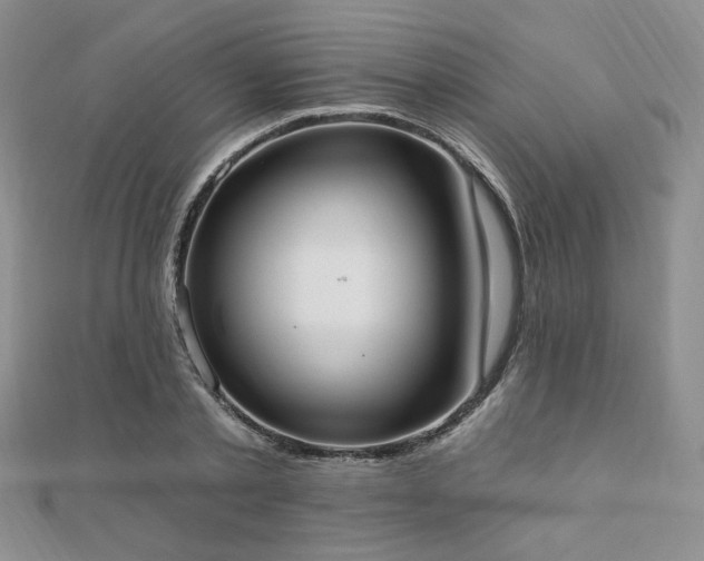 X0000110740789200906151102