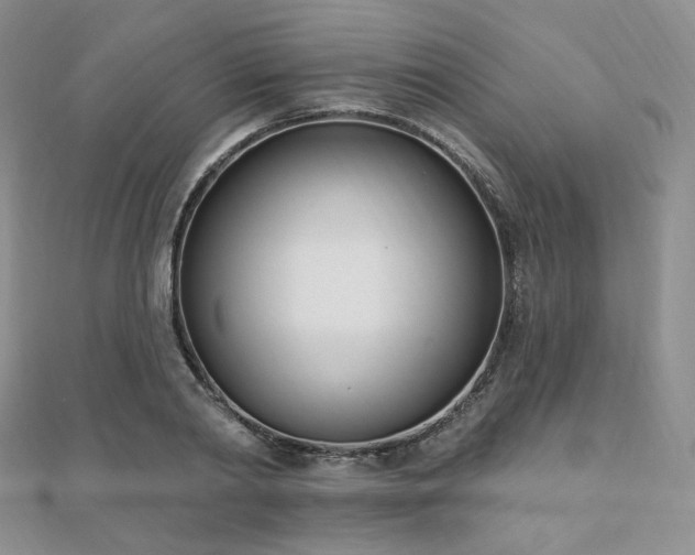 X0000110740790200906151102