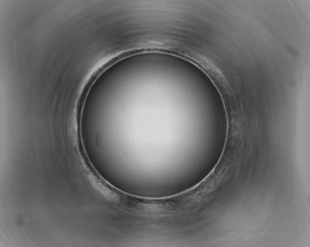 X0000110740792200906151102