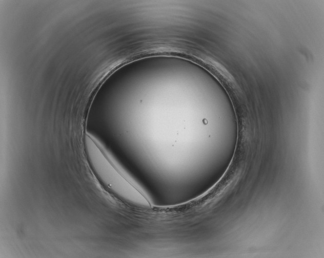 X0000110740793200906151102