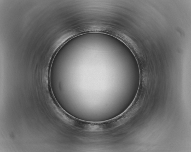 X0000110740794200906151102